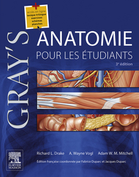 Grays Anatomie BSB 2020