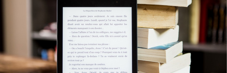 Bibliothèque numérique, ebooks - BSB 2023