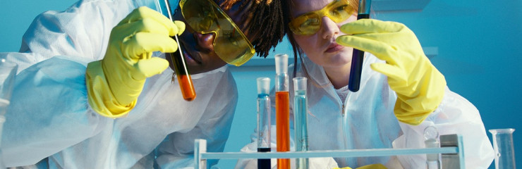 Questionnaire sur des collections en sciences à la BSB - BSB 2024