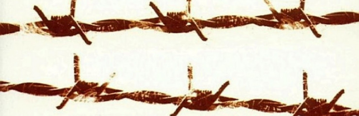 Sélection d'ouvrages sur Auschwitz - BSB 2025