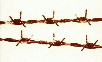 Sélection d'ouvrages sur Auschwitz - BSB 2025