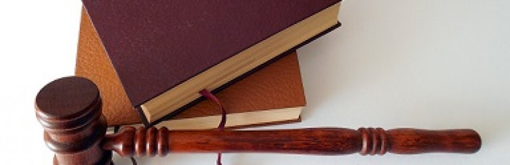 Sélection d'ouvrages "Droit et littérature" - BSB 2025