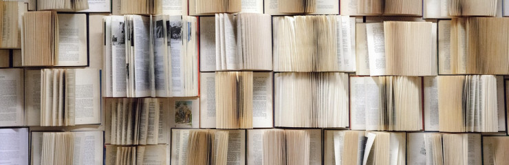 Sélection de ebooks pour l'été - BSB 2025