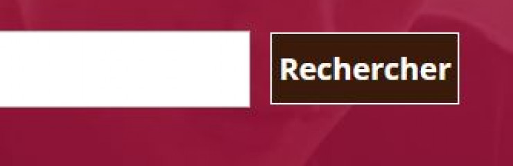 Perturbations sur le catalogue du site BSB - BSB 2025