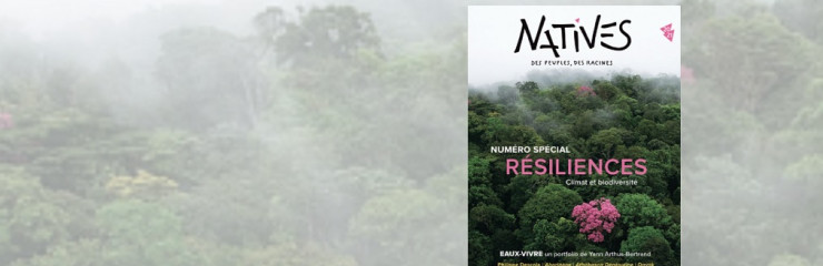 Natives, nouvelle revue en sociologie - BSB 2026