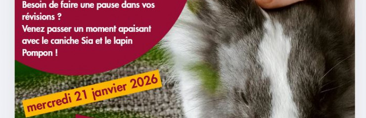 Ateliers médiation animale - BSB 2026