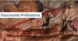 Sélection d'ouvrages sur la préhistoire - BSB 2026