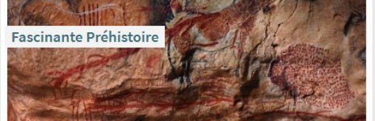 Sélection d'ouvrages sur la préhistoire - BSB 2026
