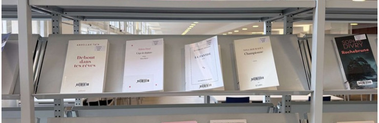 Espace & lecture loisir - BSB 2026