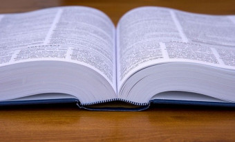 Ressources numériques en linguistique - BSB 2020