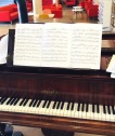 piano Erard BSB 2019 vignette