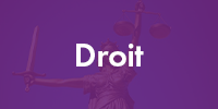 vignette droit