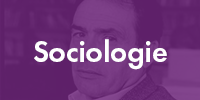 vignette sociologie