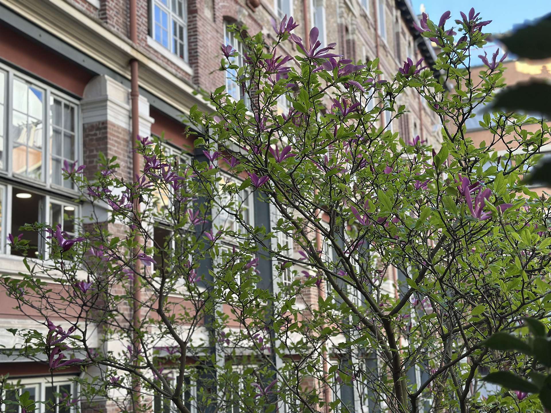 cour printemps 2024